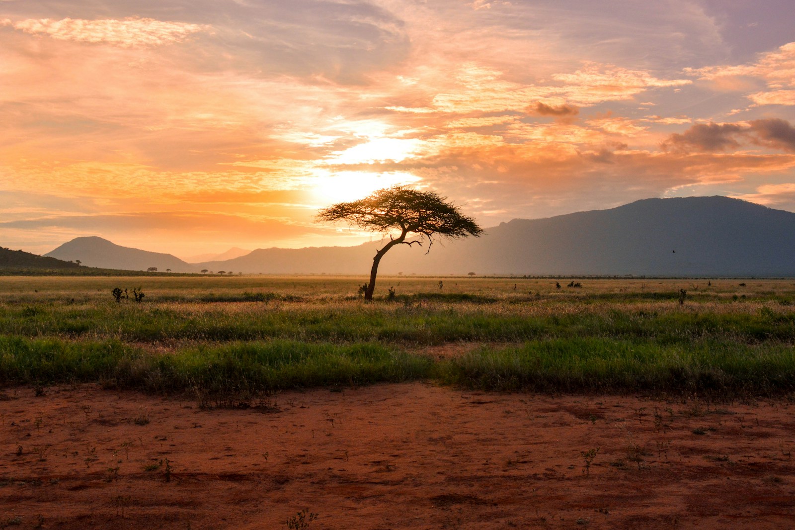 Kapadokya Safari (Kenya)