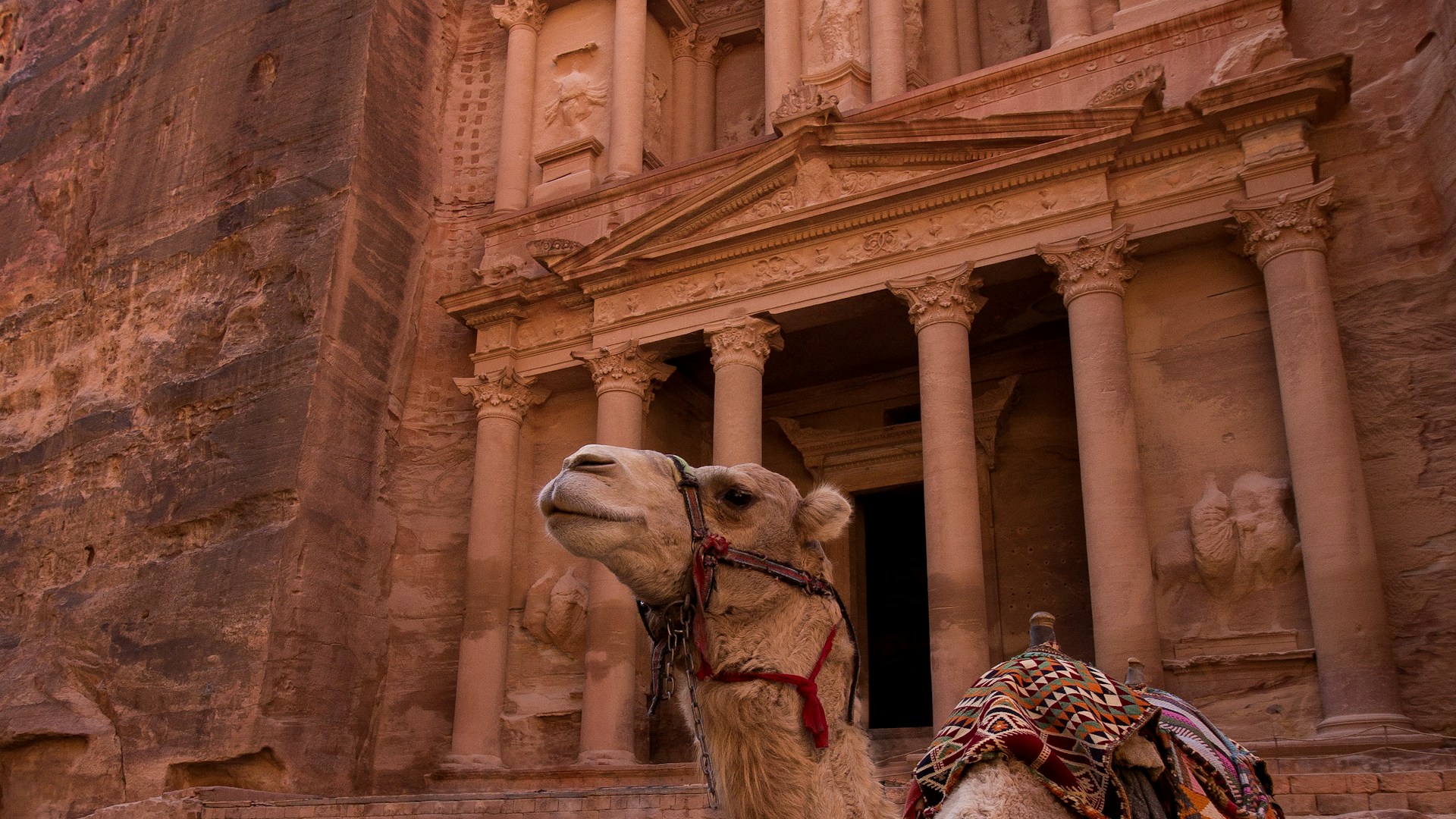 Petra ve Wadi Rum